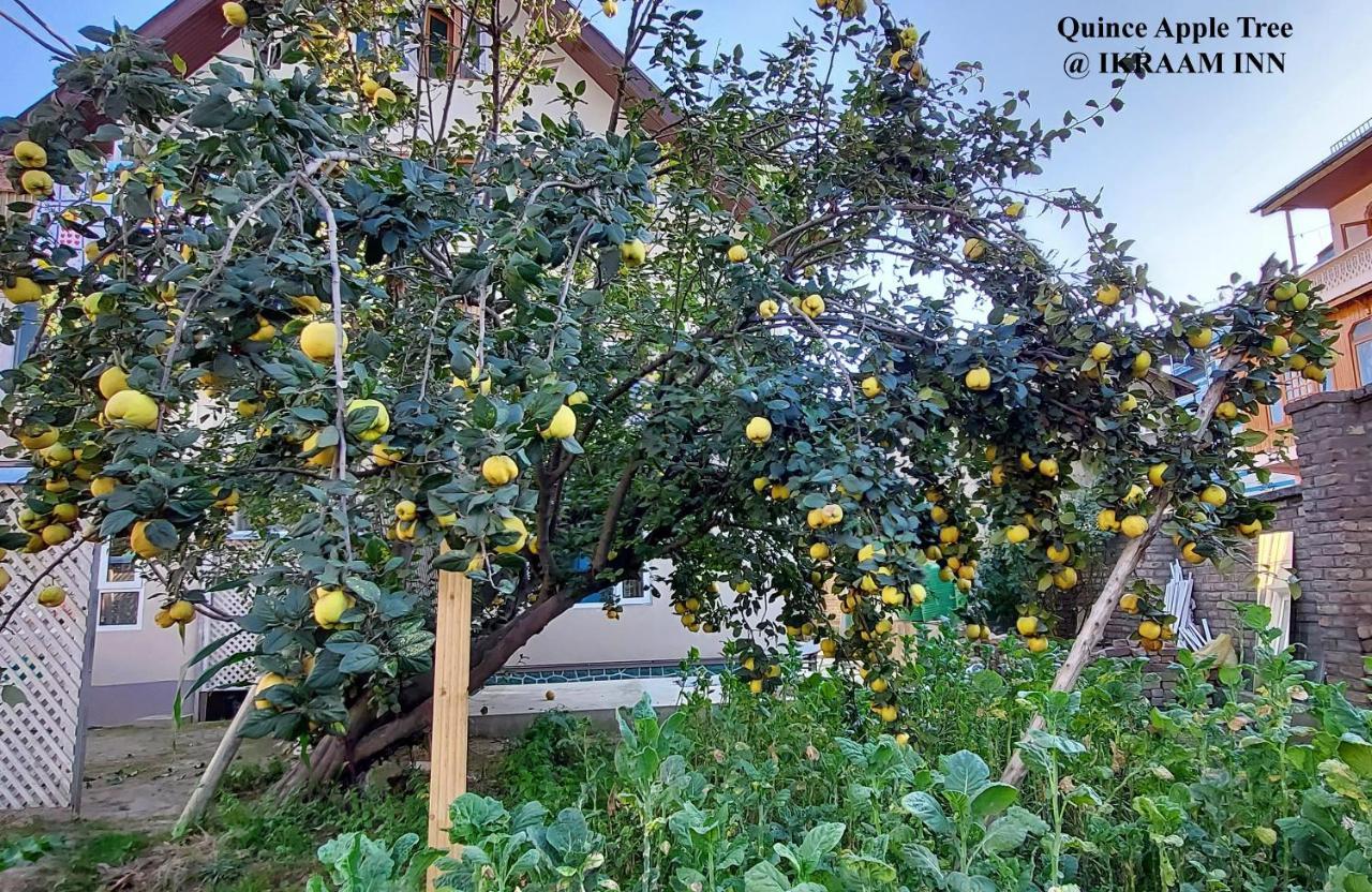 Ikraam Inn Bed & Breakfast Srīnagar Dış mekan fotoğraf