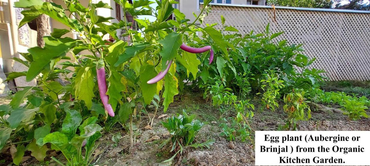 Ikraam Inn Bed & Breakfast Srīnagar Dış mekan fotoğraf