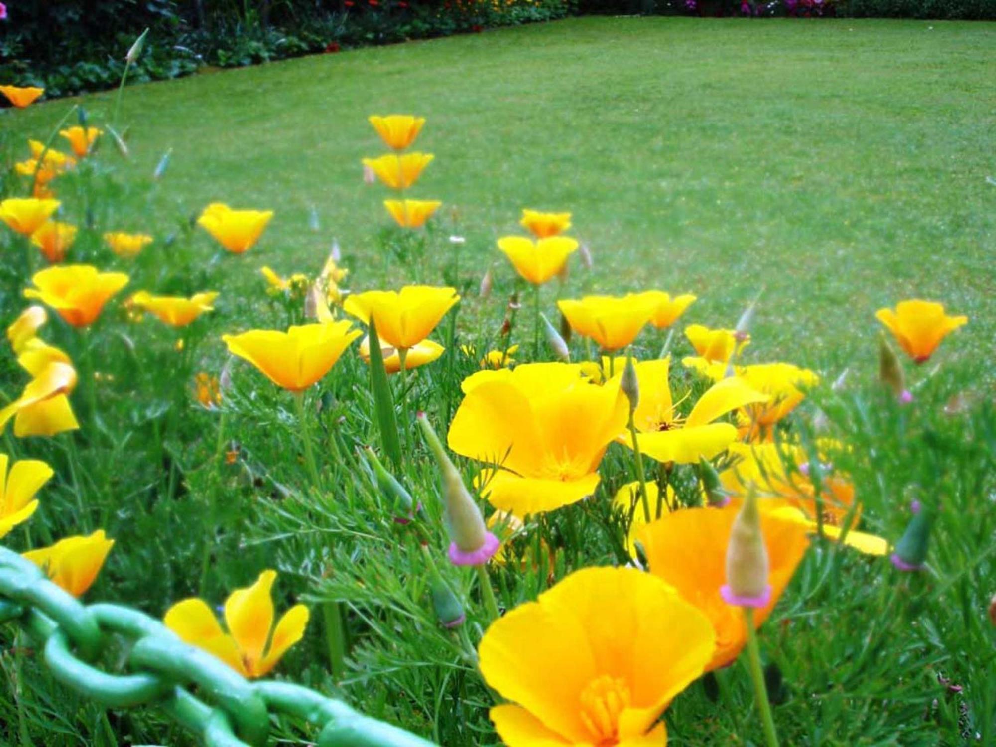 Ikraam Inn Bed & Breakfast Srīnagar Dış mekan fotoğraf